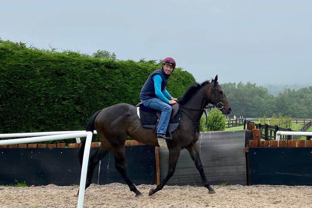 Catherine's Girl - unraced 2yo owned by Mr Ingham