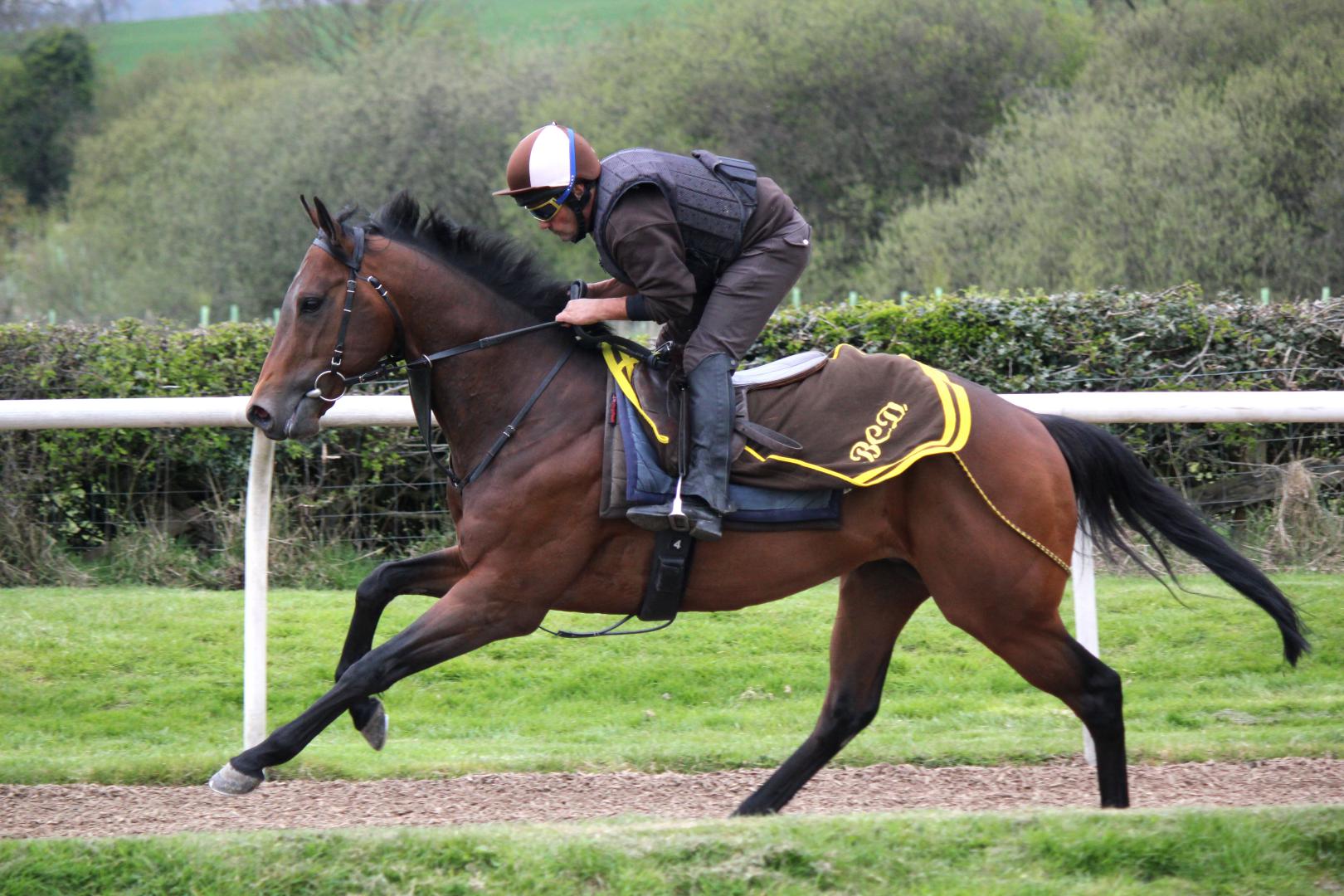 Racehorse Trainer 3 year old horse in training Ann Duffield