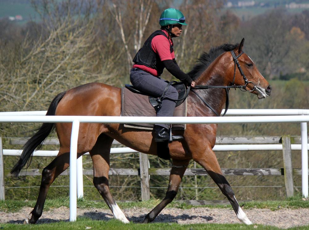 Another 2 year old filly out on the round canter