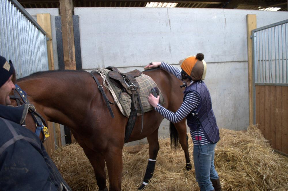 Anna grooming her 'main man' at the farm 