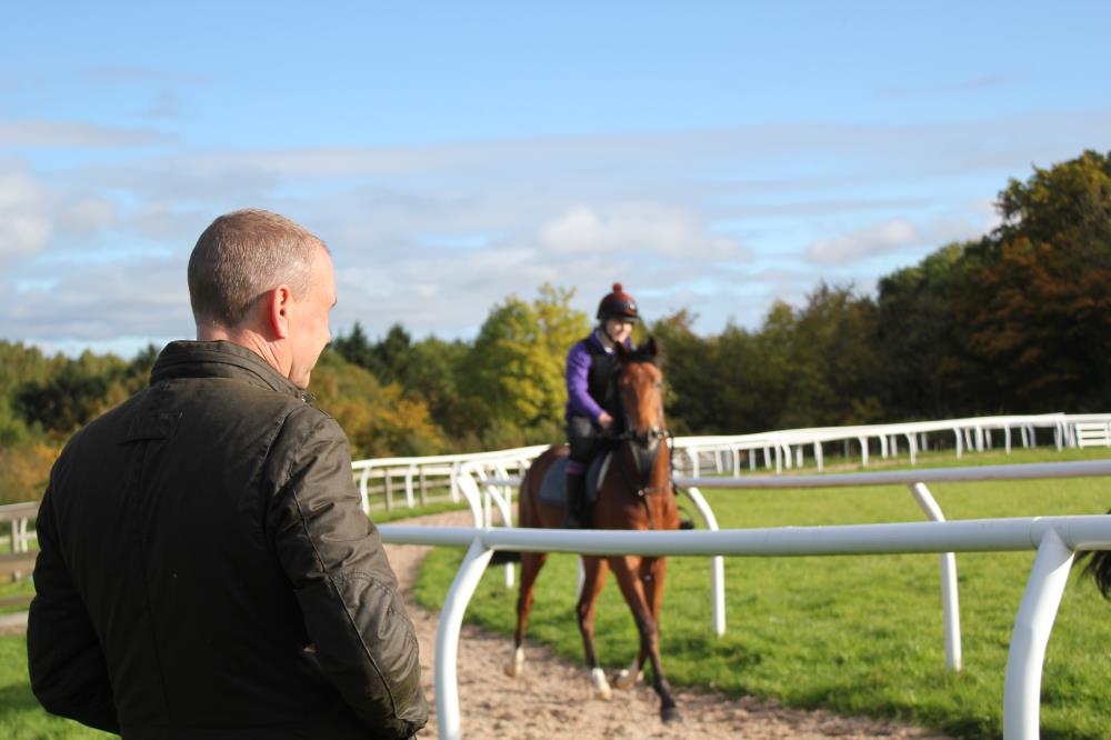 Owner Craig Buckingham watches one of his yearings